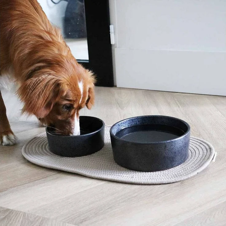 Duvo+ Phil Platzdeckchen beige für Hunde, Größe: S – Bild 4