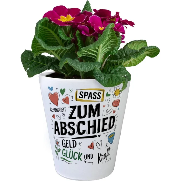 speecheese Blumentopf Wünsche Zum Abschied Blumentopf für Kollegen und Freunde – Bild 2