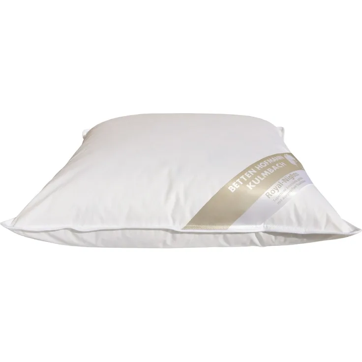 Betten Hofmann Kopfkissen 45x45 Kleinkissen Kissen Federkissen 450 g prall 30% Daunen
