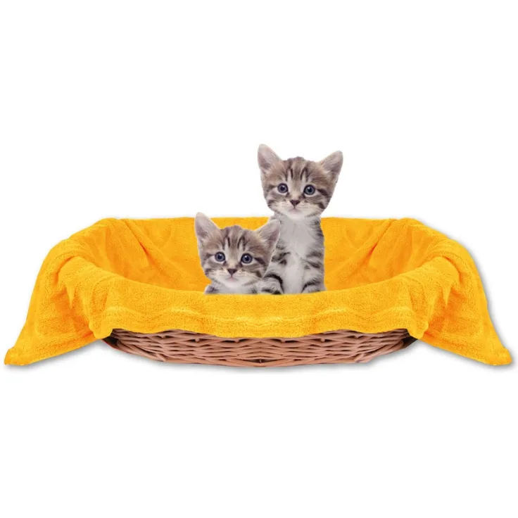 Haustierdecke Katzendecke Kuscheldecke Tierdecke , angenehm und super weich in vielen verschiedenen Farben erhältlich (60x80 cm / orange - marigold)