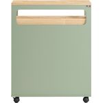 SoBuy BZR54-GR Toilettenschrank mit Toilettenpapierhalter, MDF, Lackiert, Grün, 65 x 82 x 24 cm