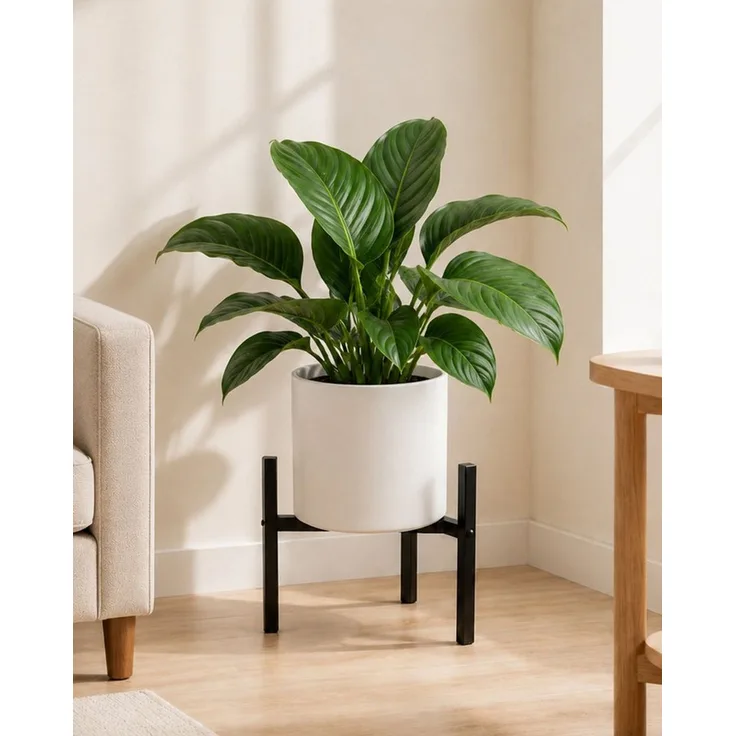 Bamworld Blumenständer wasserfest & sonnenbeständig, Verstellbarer, Schwarz (1 St), Verstellbares Design mit 2 Höhenstufen