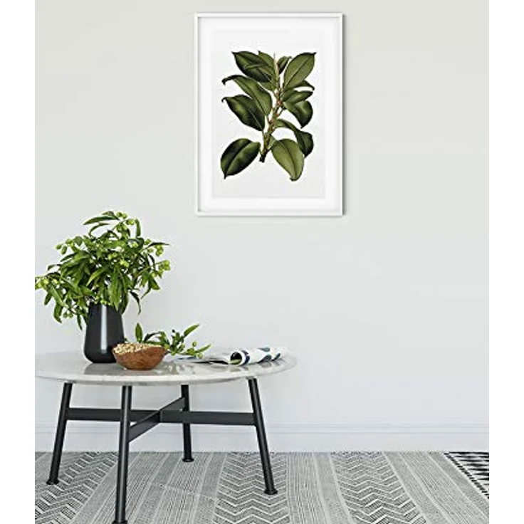 Komar Elastica Tree, Wandbild auf Premium-Poster Fotopapier, Grün, 30 x 40 cm, ohne Rahmen, MADE IN GERMANY – Bild 2