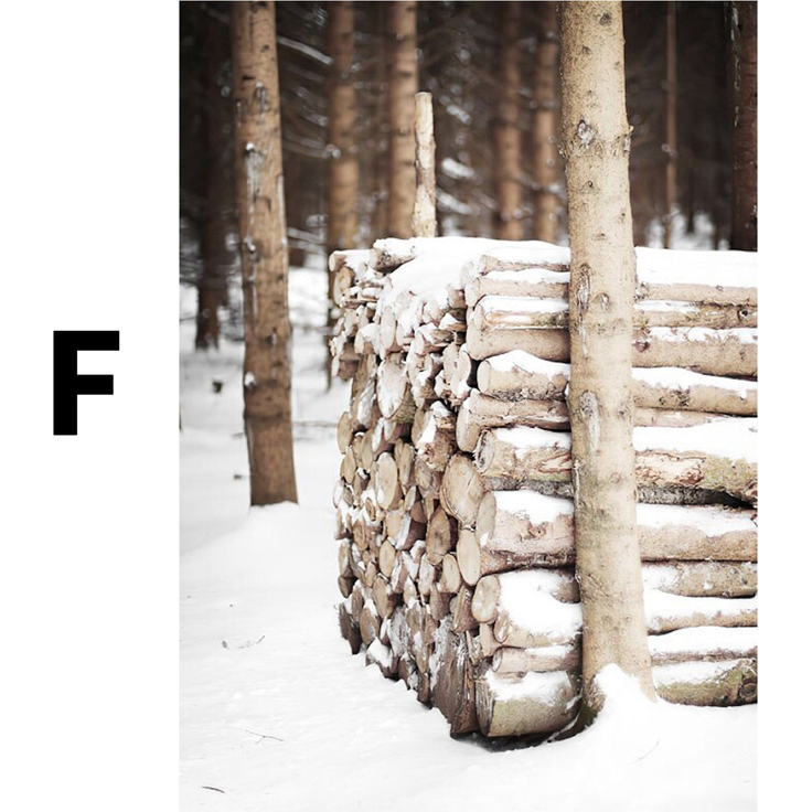 Poster Winter Holz Hütte im Schnee Rentier Tannenzapfen · Bilder Wohnzimmer · Wandbilder Schlafzimmer · Deko Print ohne Rahmen - F / 20x25 cm