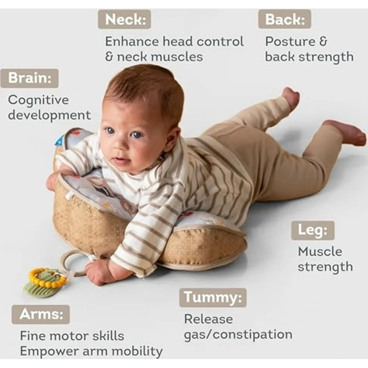 Tummy Time Babykissen Bär – Bauchmuskelkissen mit 2 abnehmbaren Spielzeugen – Entwicklung der motorischen Fähigkeiten und Nackenmuskeln – ab der Geburt – 40 x 27 x 11 cm – 13715 – Bild 2