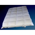 Betten Hofmann Winter Hochsteg Daunenbett Daunendecke 4x6 135/200 100% Daunen 1250g