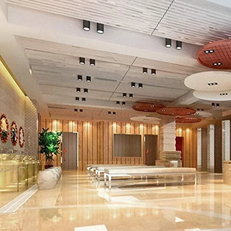 Deckenspots schwarz D-70mm GU10 IP20 Röhre goldenes Auge – Bild 2