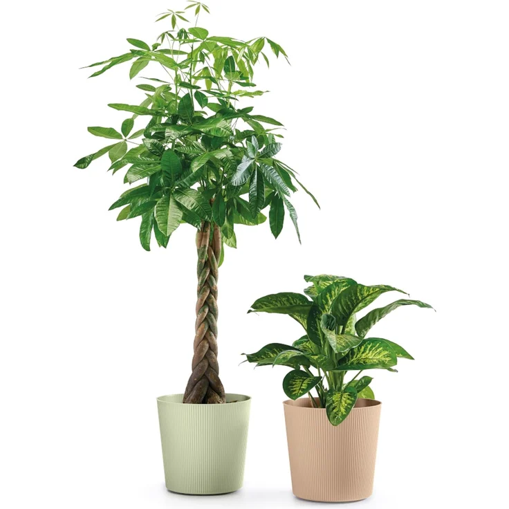 Bl.-Topf FYRE 35cm oasi – Bild 3