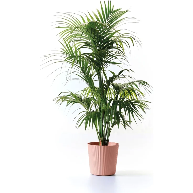 Bl.-Topf FYRE 40cm mirage – Bild 2