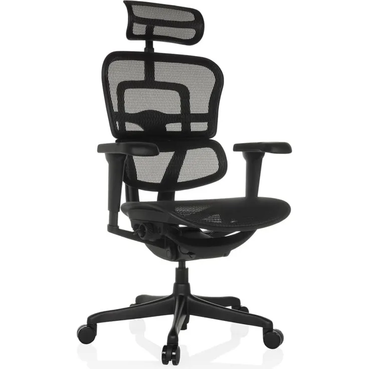 hjh OFFICE Bürostuhl ergonomisch ERGOHUMAN Signature GEN2 Originales Design, Bürosessel mit Flexibler Lendenwirbelstütze, Netzbespannung, Schwarz