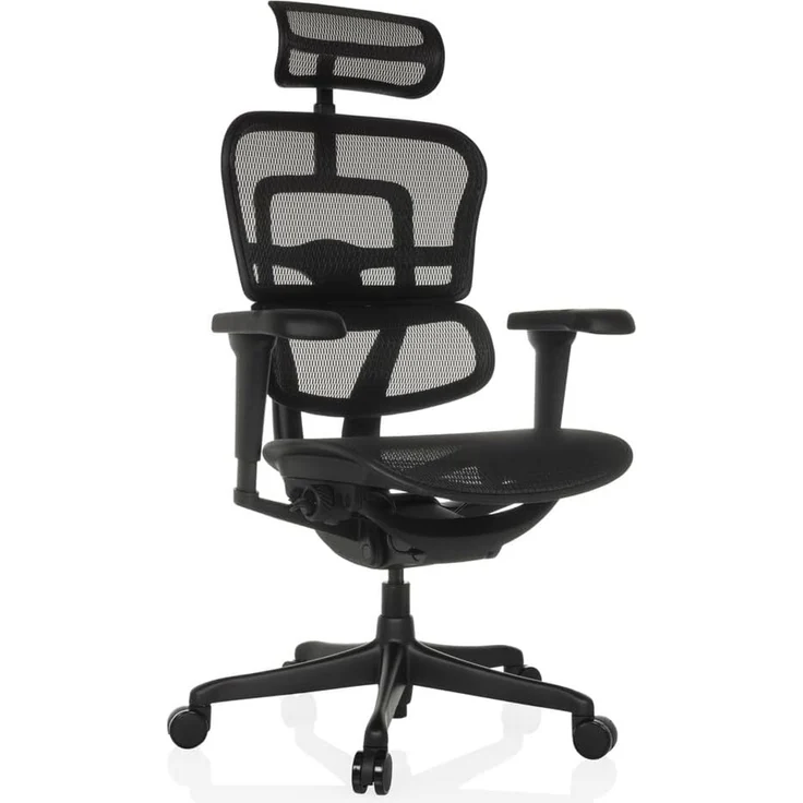 hjh OFFICE Bürostuhl ergonomisch ERGOHUMAN Signature GEN2 Originales Design, Bürosessel mit Flexibler Lendenwirbelstütze, Netzbespannung, Schwarz – Bild 1
