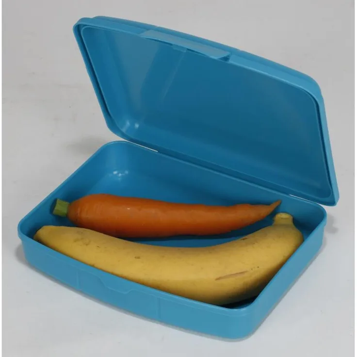 12x Brotdose Proviantbox 1 Liter Gefäß Lebensmittel frischhalten Kühlschrank, zufällige Farbauswahl