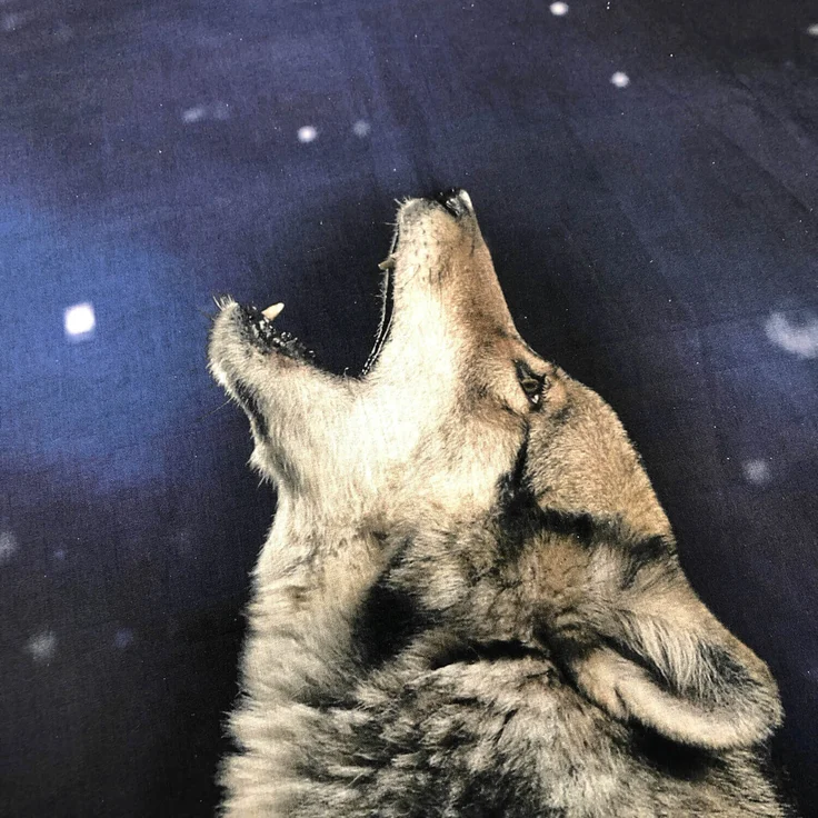 Wolf Bettwäsche Vollmond Digitaldruck ESPiCO Sleep and Dream 135 x 200 + 80 x 80 cm – Bild 6