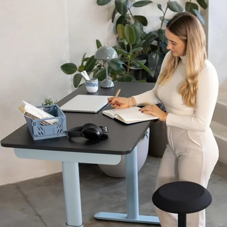 Ergotopia Schreibtisch Desktopia One (elektrisch höhenverstellbarer Schreibtisch Gestell), elektrisch höhenverstellbares Tischgestell – Bild 8
