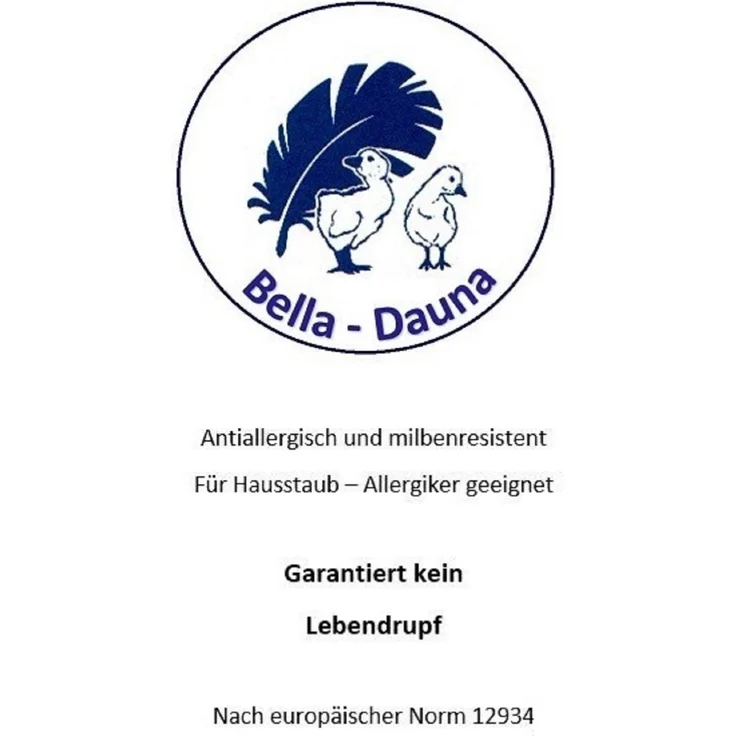 Betten Hofmann leichte Kinder Baby Sommer Daunendecke Daunenbett 100x135 cm – Bild 6