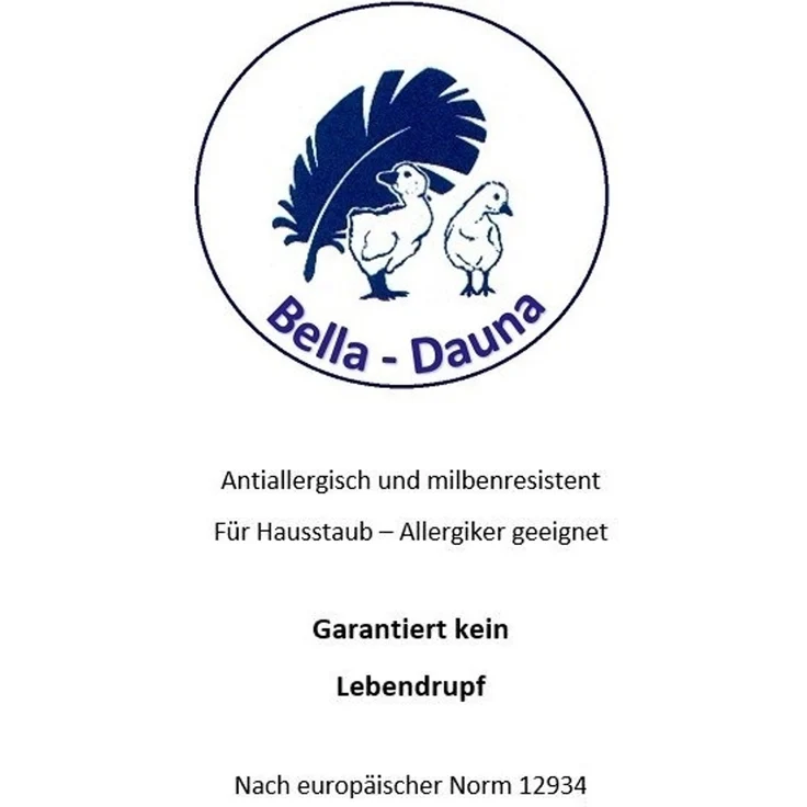 Bella Star Kopfkissen 40x80 mit Außensteg Federkissen Kissen 20% Daunen 650 g – Bild 4