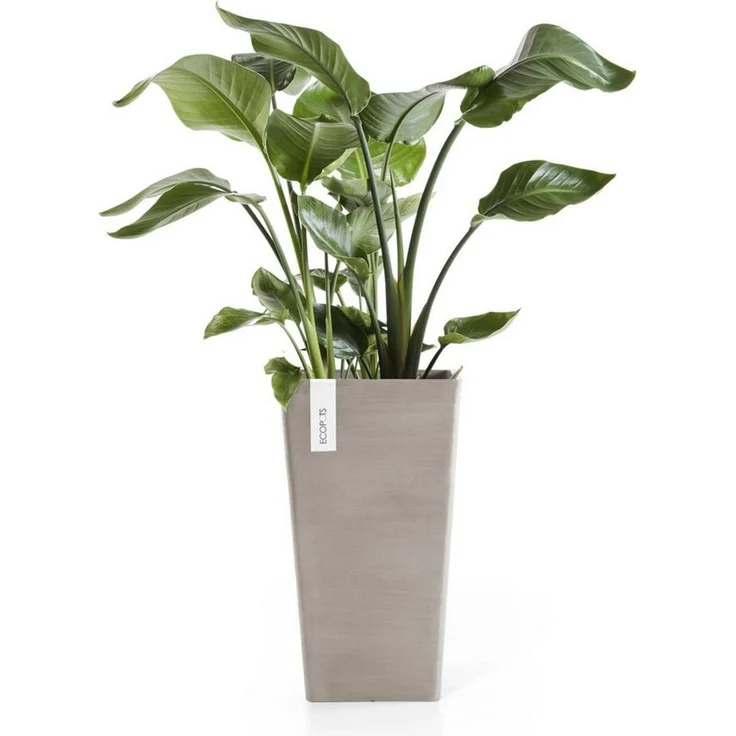 ECOPOTS Blumentopf ROTTERDAM MID HIGH Taupe, BxTxH: 31x31x56 cm – Bild 2