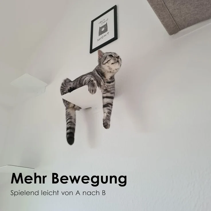 LucyBalu Katzen-Kletterwand Katzentreppe, Katzen Kletterwand, Katzenleiter, Katzenstufen, 3er Set, Pulverbeschichtetes Stahlblech mit Filzauflagen – Bild 2