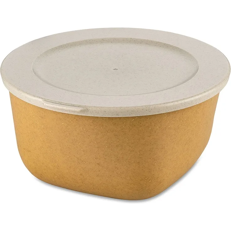 Koziol Dose Connect Box mit Deckel, Schüssel, Schale, Kunststoff-Holz-Mix, Nature Wood, 2 L, 7871702