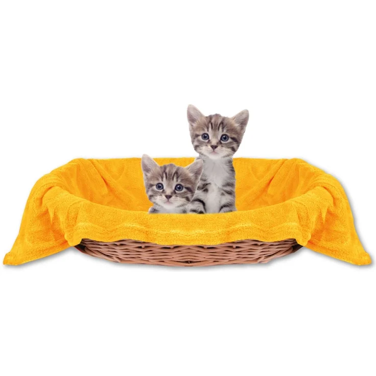 Haustierdecke Katzendecke Kuscheldecke Tierdecke , angenehm und super weich in vielen verschiedenen Farben erhältlich (70x100 cm / orange - marigold) – Bild 1