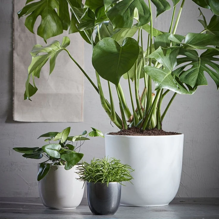 Annastore Übertopf Blumenübertopf - Keramik Übertopf - Blumentopf - Pflanztopf, In verschiedenen Größen und Farben – Bild 3