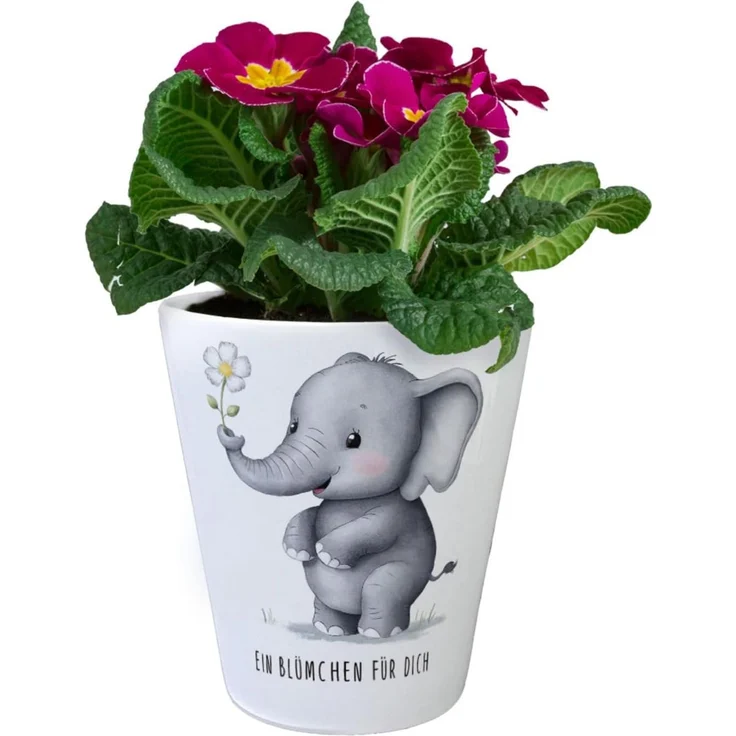 speecheese Blumentopf Grauer Elefant - Blümchen für dich Blumentopf – Bild 2
