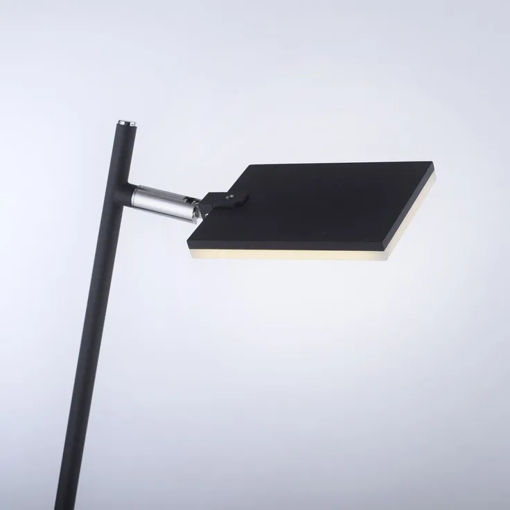 Paul Neuhaus 356-18 PURE-MIRA LED Stehleuchte anthrazit CCT