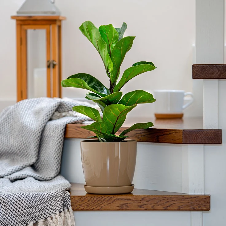 KADAX Blumentopf mit Ständer, Kunststoffabdeckung, beige Blumentopf für Blumen – Bild 7