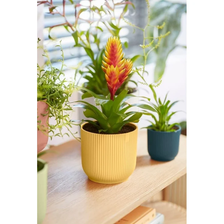 elho Vibes Fold Rund 14 Pflanzentopf - Blumentopf für Innen - 100% recyceltem Plastik - Ø 14.1 x H 12.9 cm - Gelb/Buttergelb – Bild 9