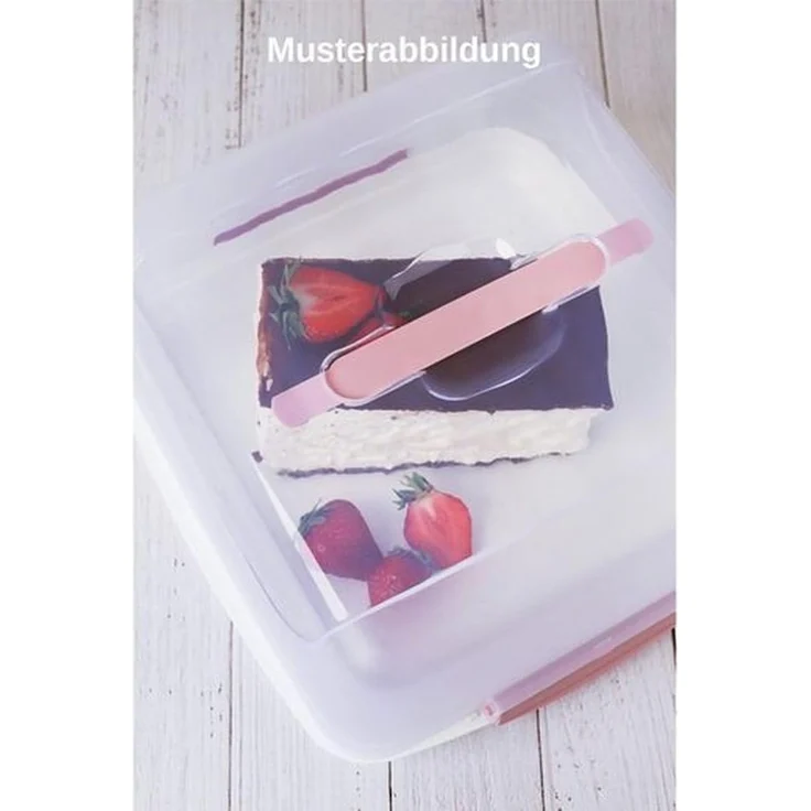 Engelland Kuchentransportbox Kuchenbox mit transparentem Deckel, Kunststoff, (Vorteils-Set, 1-tlg, sicheres Transportieren), mit Tragegriff und Klickverschluss, BPA-frei, rechteckig, Kunststoff – Bild 3