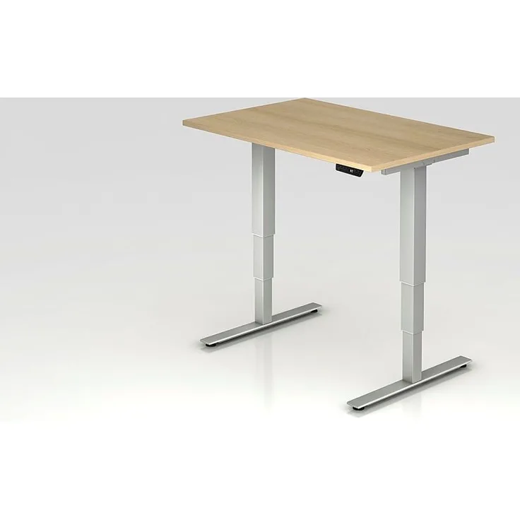Sitz-Steh-Schreibtisch elektrisch XDSM12 120x80cm Grau Gestellfarbe: Silber