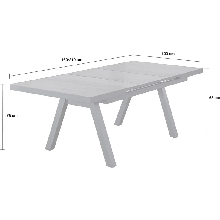 LC Garden Gartentisch 160/210x100cm Aluminium