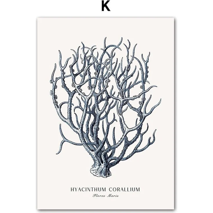 Poster Strand Hütte · Muscheln · Korallen · Ozean · Meer als Deko Print ohne Rahmen - 40 x 50 cm / K