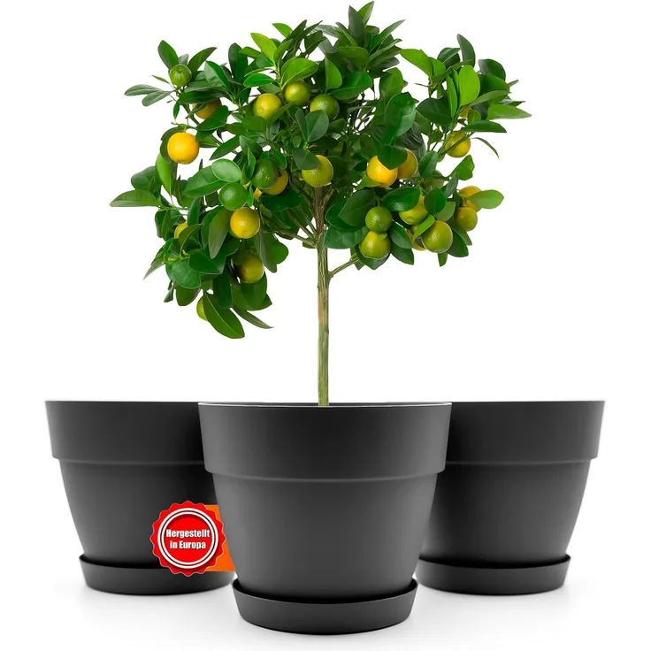 BigDean 3 Stück Blumentopf mit Untersetzer rund ø47 cm in Anthrazit – Übertopf innen + außen geeignet – aus bruchsicherem Kunststoff & Made in Europe