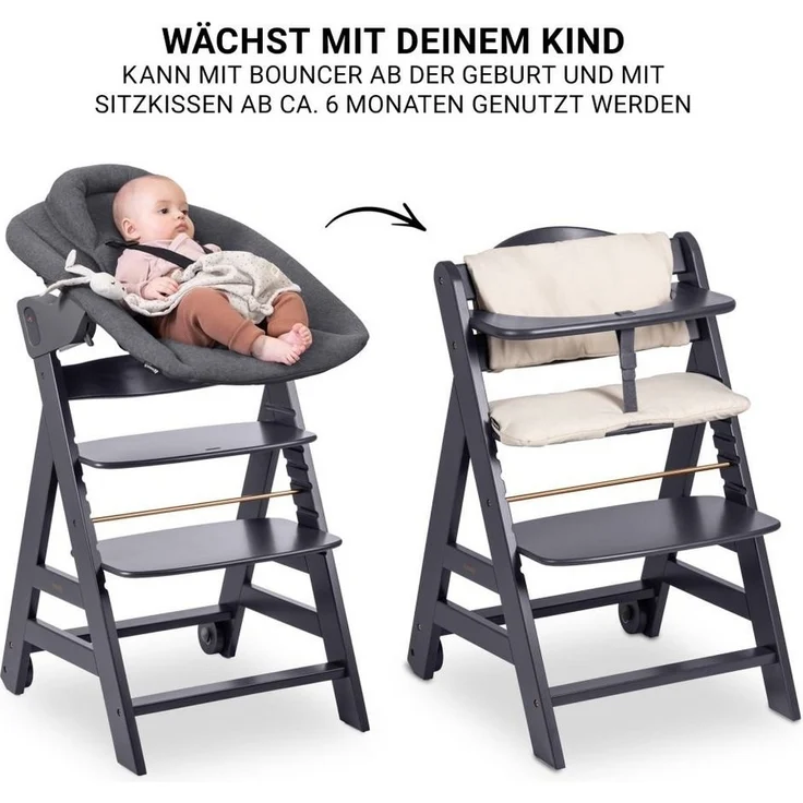 Hauck Hochstuhl Beta Plus Dark Grey - Newborn Set, Babystuhl ab Geburt inkl. Aufsatz für Neugeborene, Tisch, Sitzauflage – Bild 3