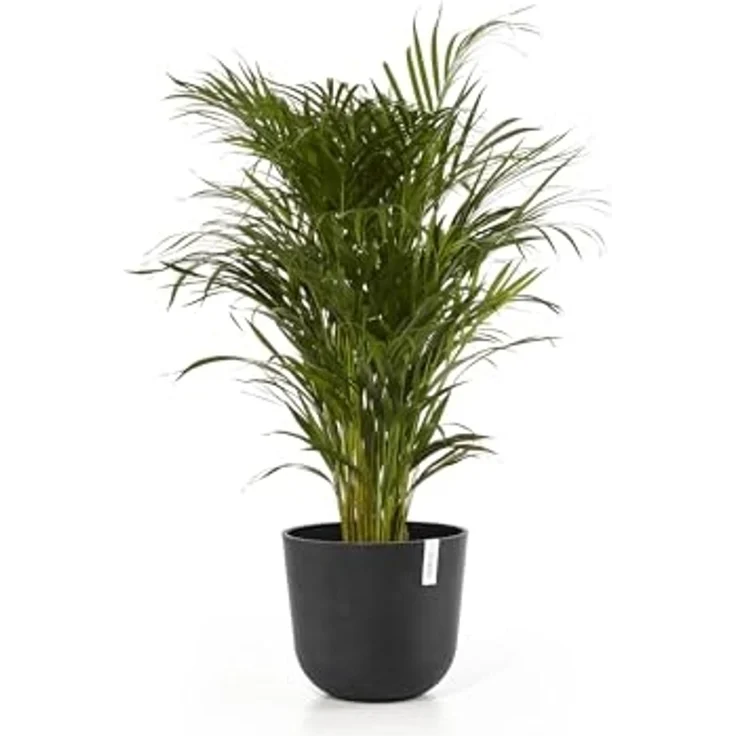 ECOPOTS Blumentopf Oslo 35 Dunkelgrau, für innen und außen: frostsicher, bruchsicher und lichtbeständig – Bild 2