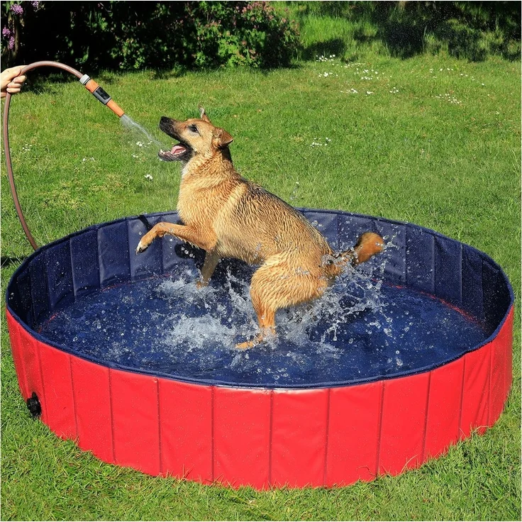 dibea Faltbarer Pool mit Ablassventil, Ø 80 x 20 cm – Bild 2