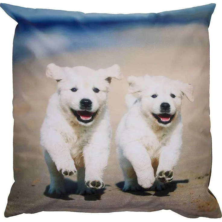 Outdoor Kissen Hundemotiv 2 Hunde Welpen Gartenkissen Wasserabweisend 50 x 50 cm