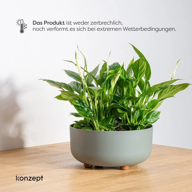 KONZEPT Blumentopf mit Füßen Ø 30 cm, Höhe 14 cm, für innen & außen, Kratzfest, Leicht, UV-beständig, Wetterfest, mit Füßen – Bild 4