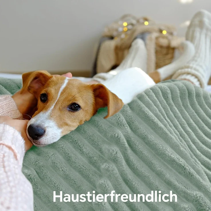 BEDELITE Kuscheldecke Flauschig Decke Klein - Dicke Sherpa Decken Grün 125x150 für Sofa, warme Cord Kuscheldecken Salbeigrün weiche Fleecedecke Wohndecke als Sofaüberwurf für Wohnzimmer – Bild 5