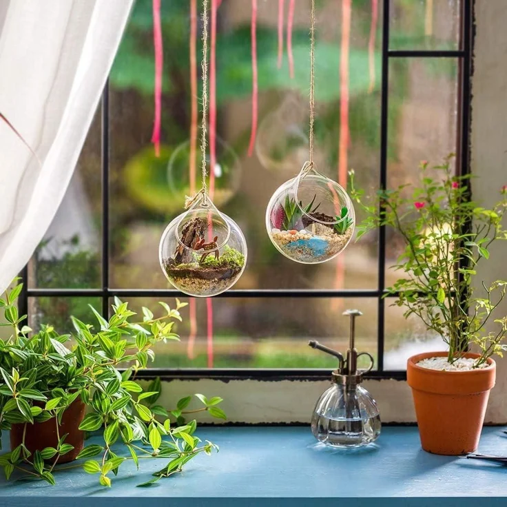 Hängende Glaskugel Vase 2Pcs Große Öffnung Sukkulenten Terrarium DIY 4 Inches – Bild 2