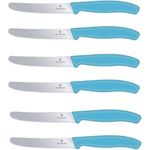Victorinox | Tafelmesser Set | Swiss Classic Limited Edition | Karibikblau | ideal für Brotzeit | 6er Pack | präzise Schneide | zeitloses Design