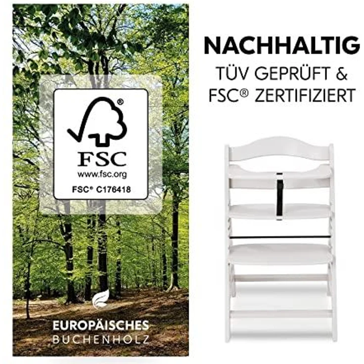 Hauck Kinder Hochstuhl Alpha+ - Mitwachsender Holz Babystuhl (FSC zertifiziert), Kinderhochstuhl ab 6 Monate, verstellbar, mit Schutzbügel, Schrittgurt und 5-Punkt-Gurt - Creme – Bild 8