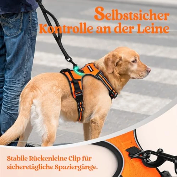 rabbitgoo Hundegeschirr Mittelgroße Hunde Anti Zug mit Griff, S, Orange | No Pull & Individuell Anpassbar, Atmungsaktiv Gepolstert, 2 D-Ringe, Schnellverschlüsse, Reflektierend für Gassi & Training – Bild 7