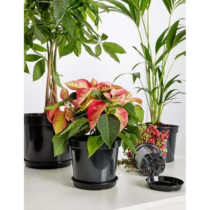 Garronda Blumentopfuntersetzer Blumentopf Untersetzer GD-0026, Zubehör für Blumentopf, 1-tlg. – Bild 5
