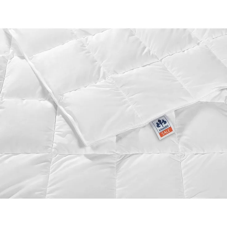 Badenia Irisette Daunensteppbett Nora leicht 155x220 cm Sommerdecke