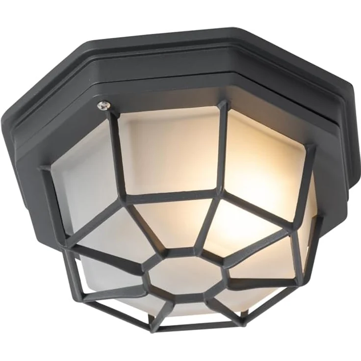 Qazqa Außen-Deckenleuchte Bri, ohne Leuchtmittel, E27, Dunkelgrau, Landhaus, Aluminium, 1-flammig – Bild 6