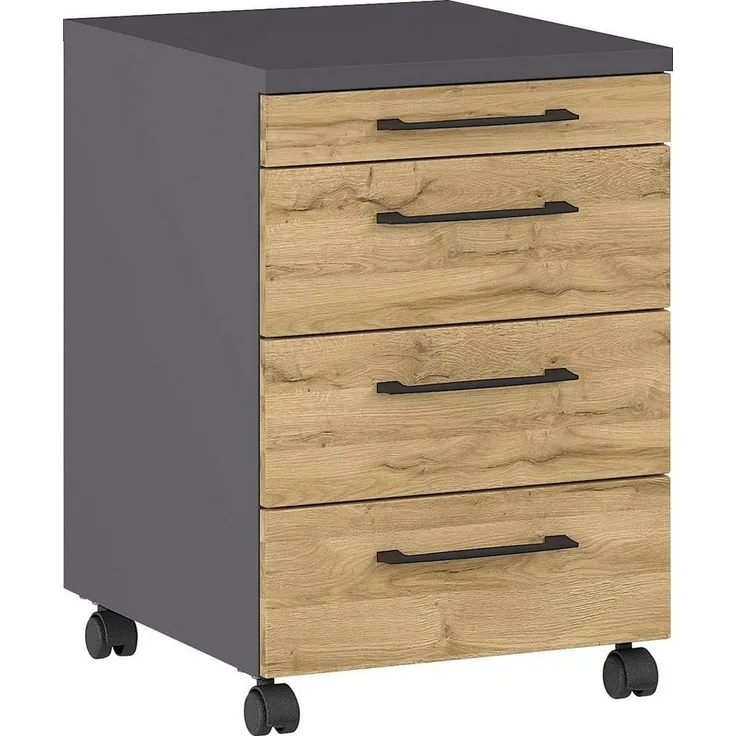 GERMANIA Rollcontainer Profi 3.0