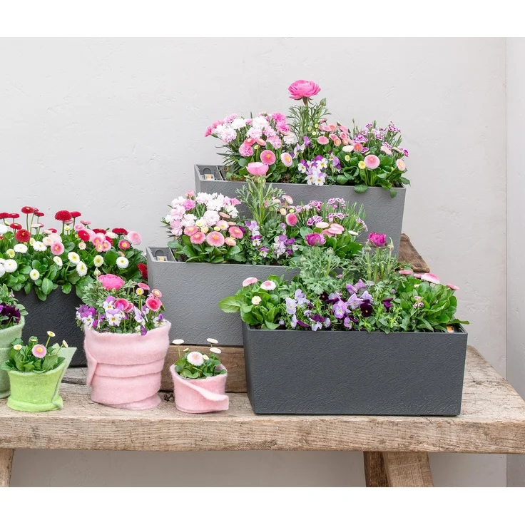 Dehner Blumenkasten Pflanzkasten Stone, Naturstein-Optik, verschiedene Größen, Kunststoff, mit integriertem Hydro-Power-Selbstbewässerungssystem – Bild 2