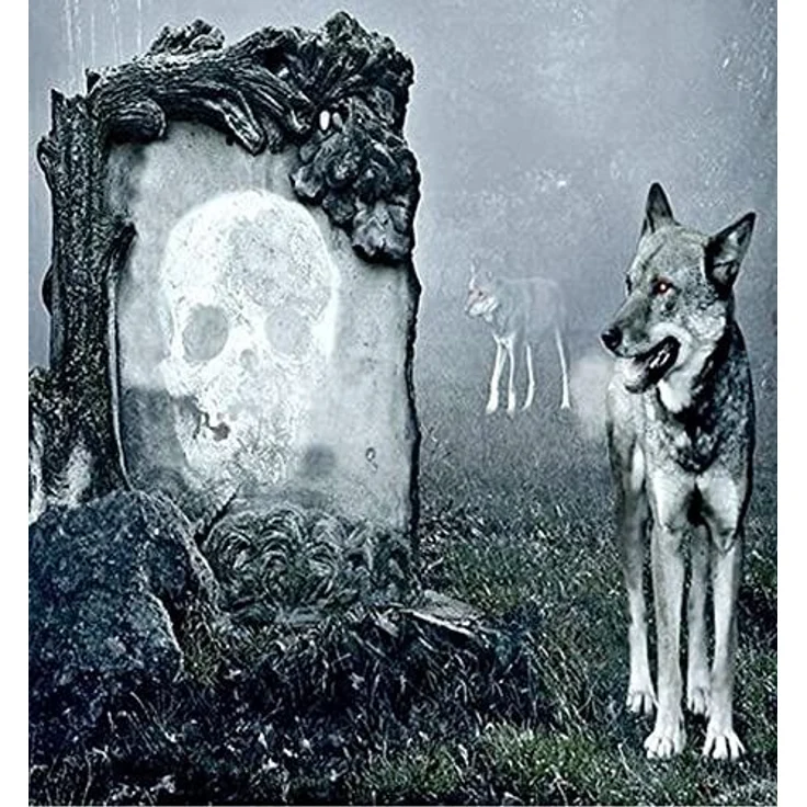 JACK Bettwäsche Microfaser Bettwäsche 135x200cm Wolf Guard Tier Fantasy Totenkopf Grau, Microfaser, 2 teilig, fotorealistischer Print Druck, Mystisch und geheimnisvoll Wolfsrudel – Bild 3